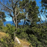 Builiding plot in Begur